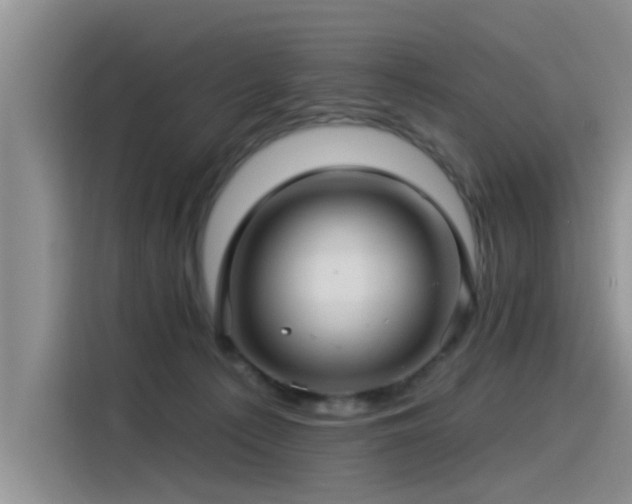 X0000115520225200911131452