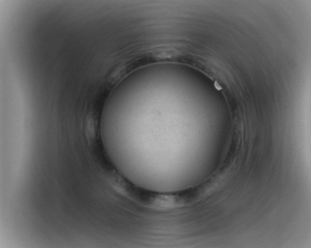 X0000115520227200911131452