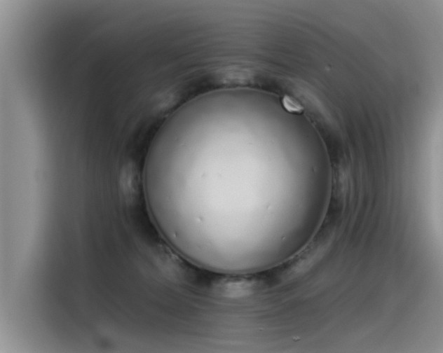 X0000115520228200911131451