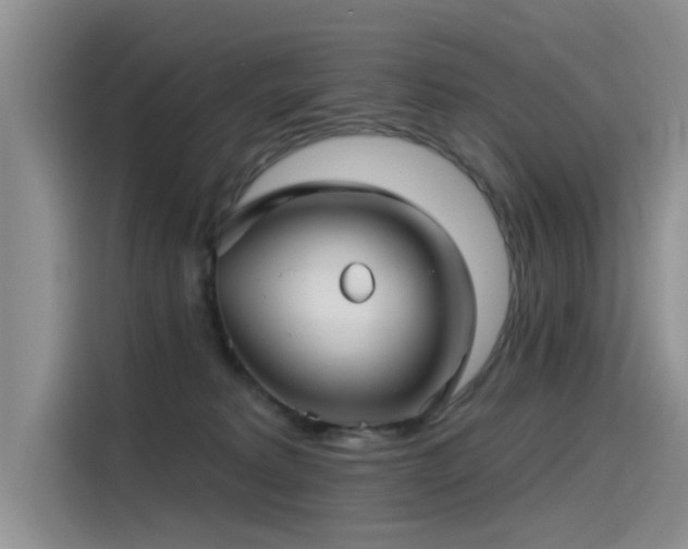 X0000115520229200911131451