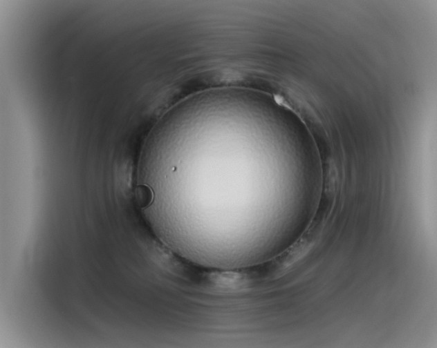 X0000115520230200911131451