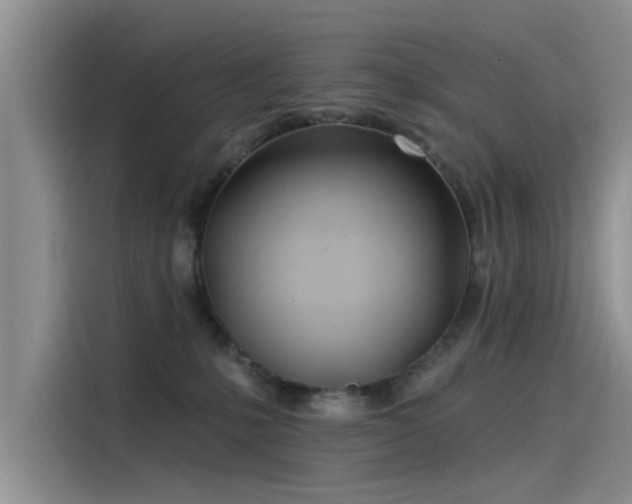 X0000115520231200911131451