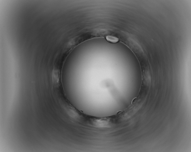 X0000115520232200911131451