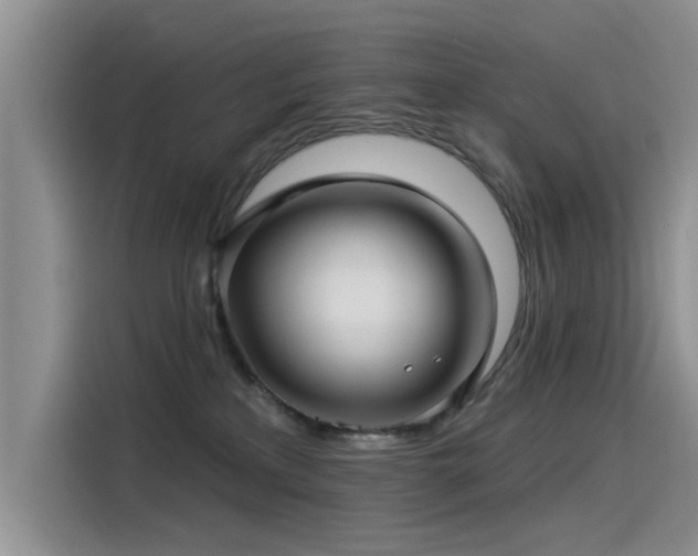 X0000115520233200911131451