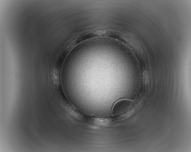 X0000115520234200911131451