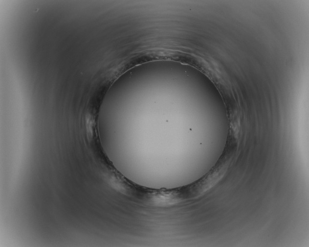 X0000115520235200911131451