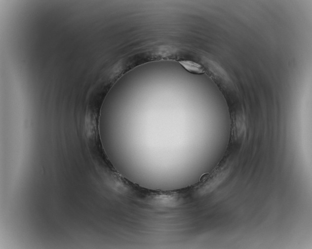 X0000115520236200911131451