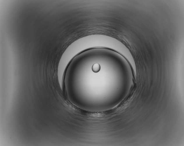 X0000115520237200911131451