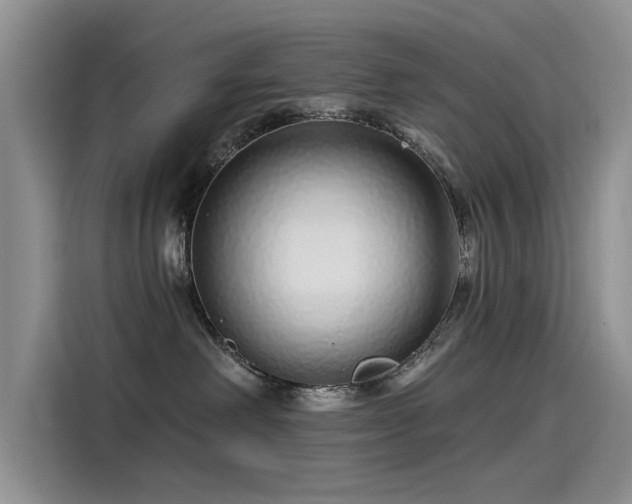 X0000115520238200911131451