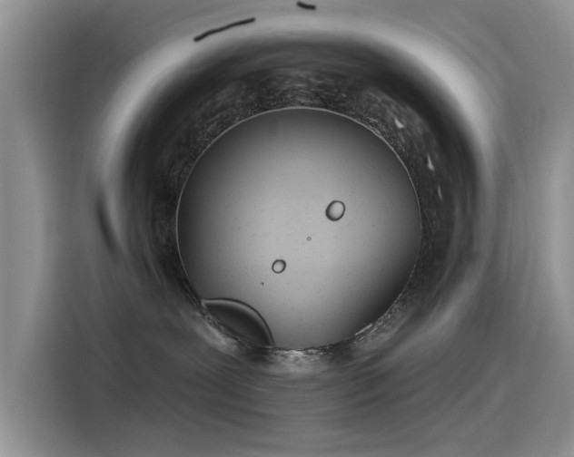 X0000115520239200911131451