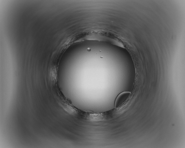 X0000115520240200911131451