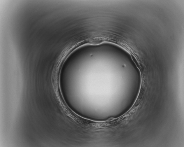 X0000115520241200911131451