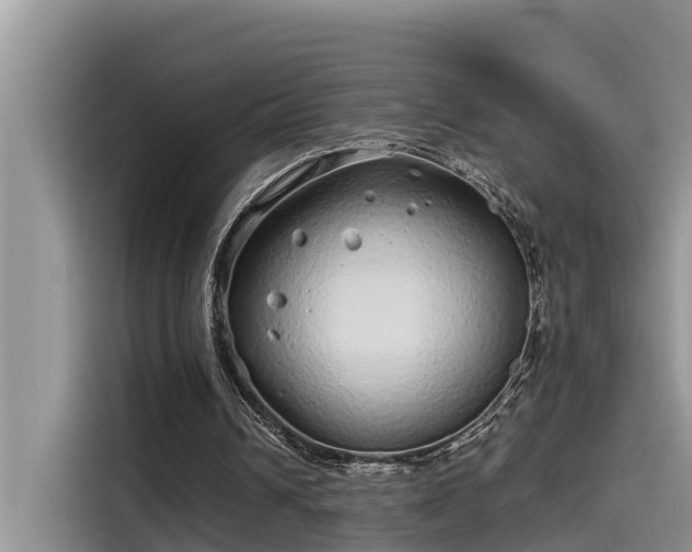 X0000115520242200911131451