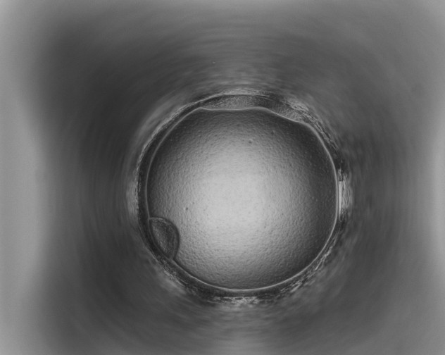 X0000115520243200911131451