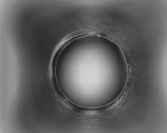 X0000115520246200911131451