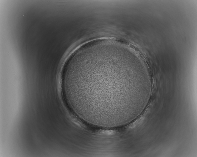 X0000115520247200911131451