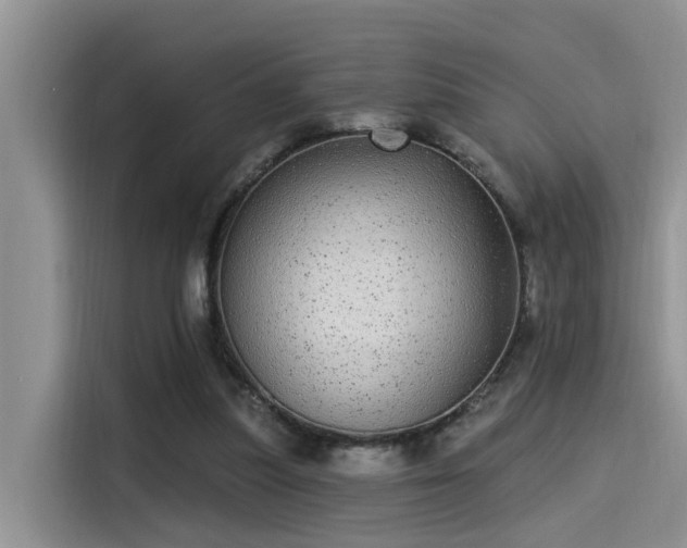 X0000115520251200911131451