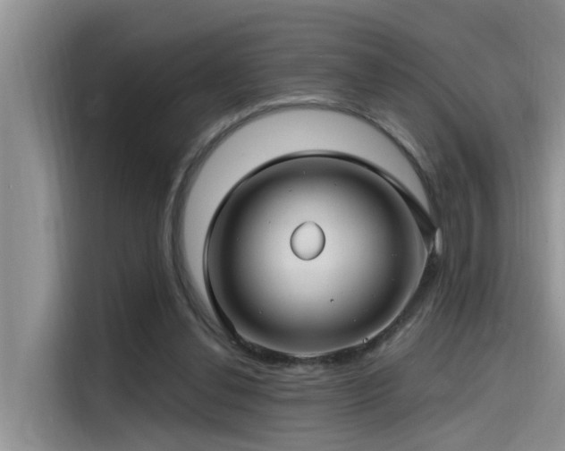 X0000115520252200911131451