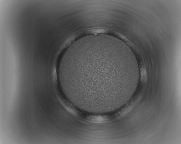 X0000115520254200911131451