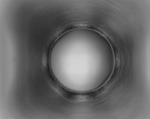 X0000115520255200911131451