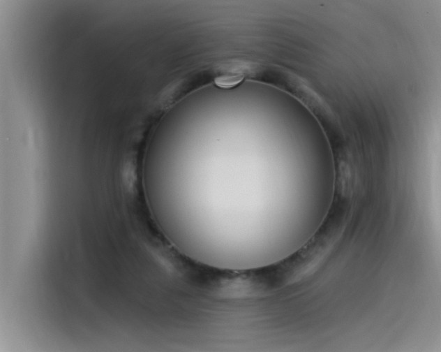 X0000115520259200911131451