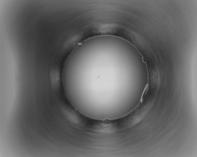 X0000115520260200911131451