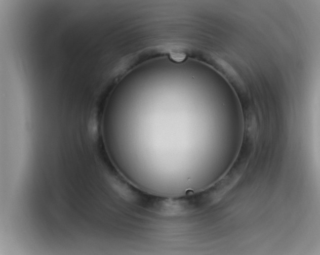 X0000115520261200911131451