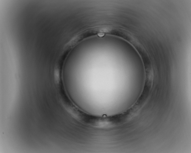 X0000115520262200911131451