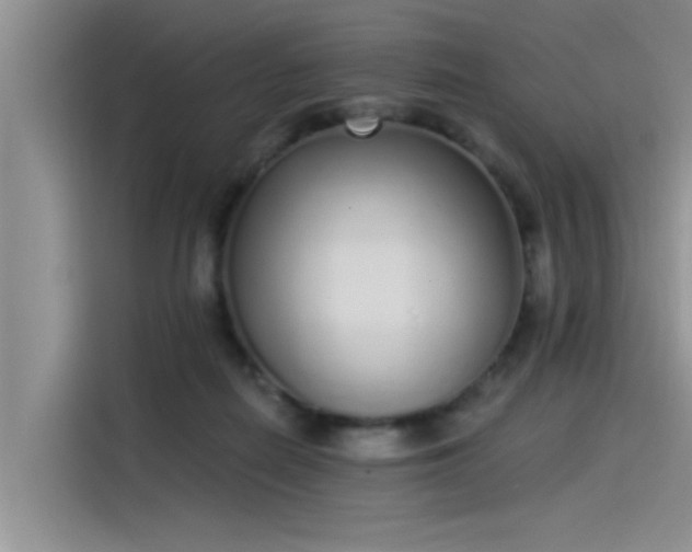 X0000115520266200911131451