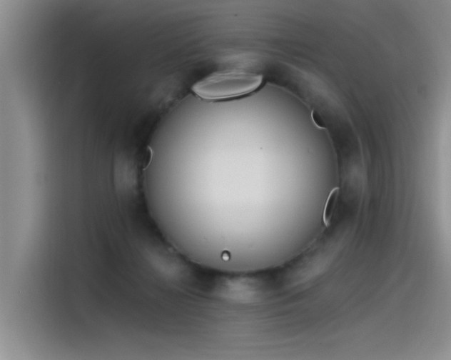 X0000115520268200911131451