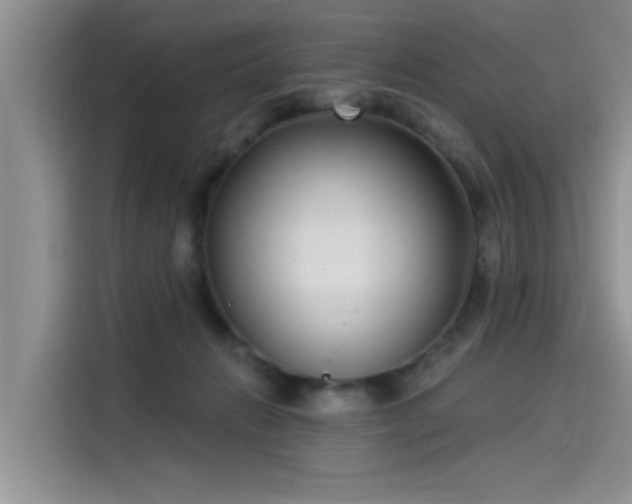 X0000115520270200911131451