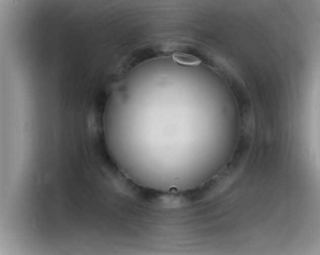 X0000115520272200911131451