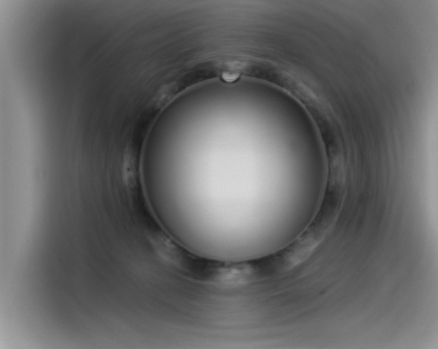 X0000115520274200911131451