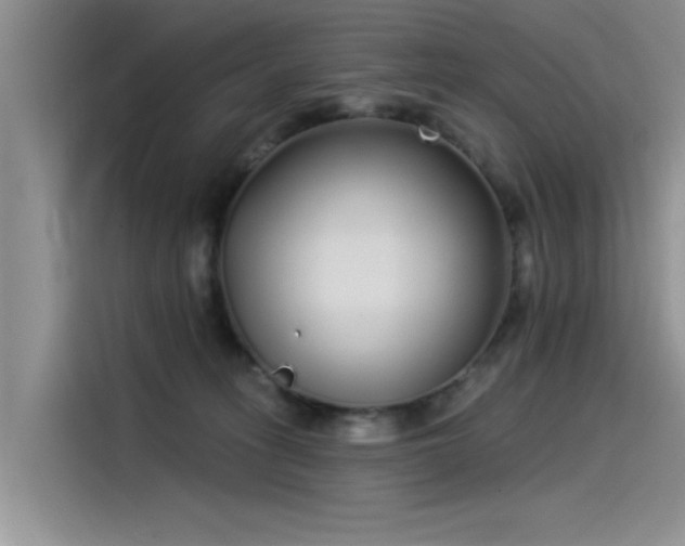 X0000115520275200911131451