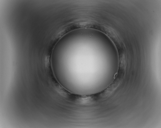 X0000115520278200911131451