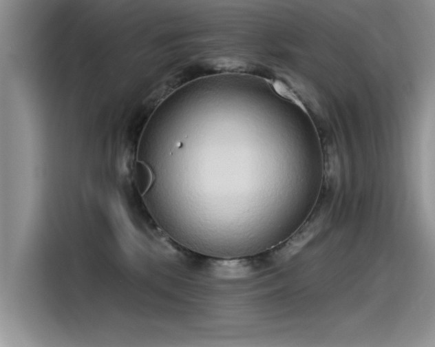 X0000115520281200911131451