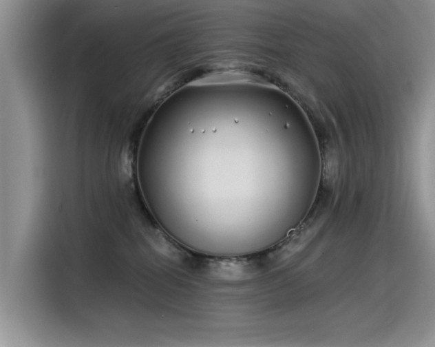 X0000115520282200911131451