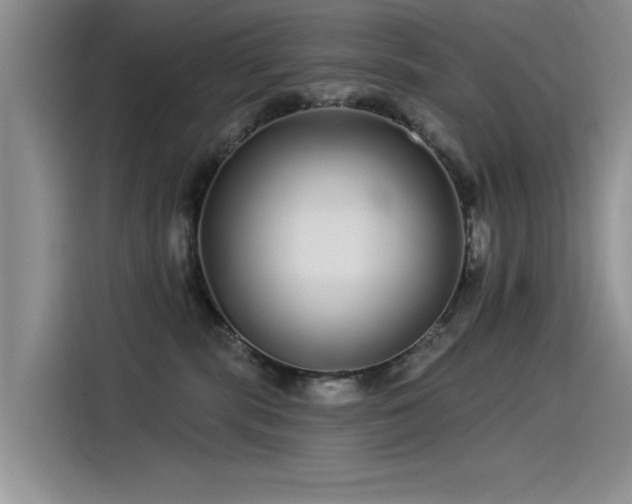 X0000115520283200911131451