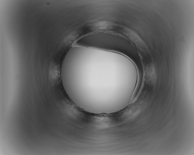 X0000115520284200911131451