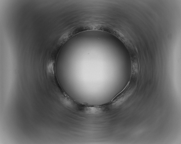 X0000115520286200911131451