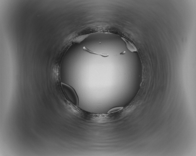 X0000115520288200911131451