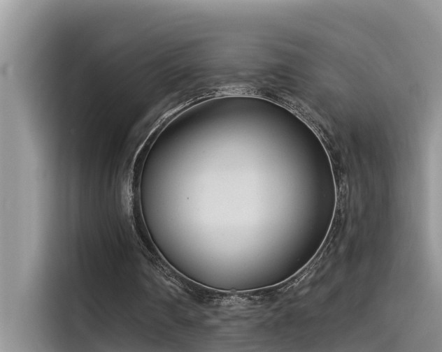 X0000115520290200911131451