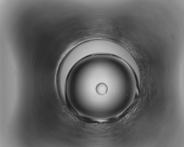 X0000115520292200911131451