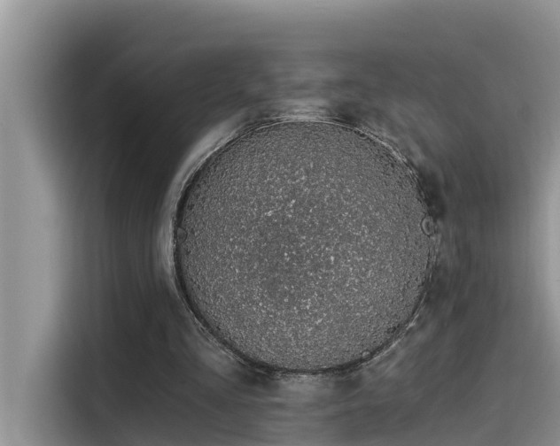 X0000115520293200911131451