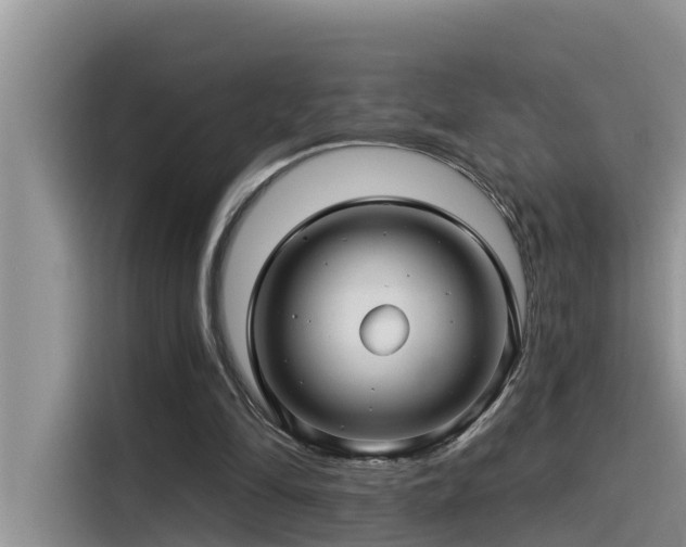 X0000115520294200911131451