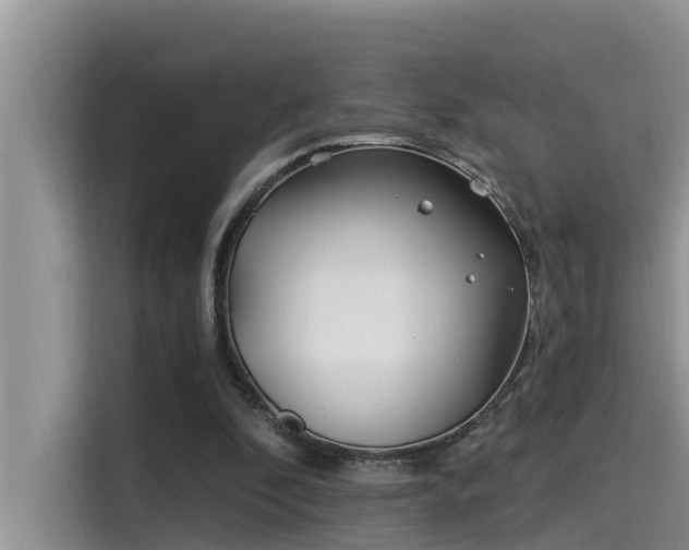 X0000115520296200911131451