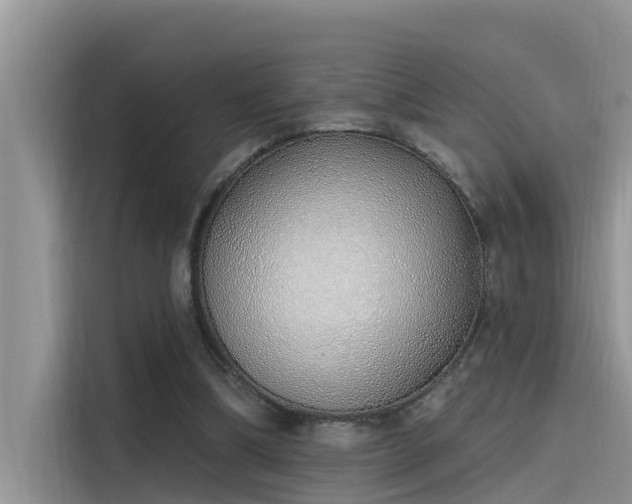 X0000115520298200911131451