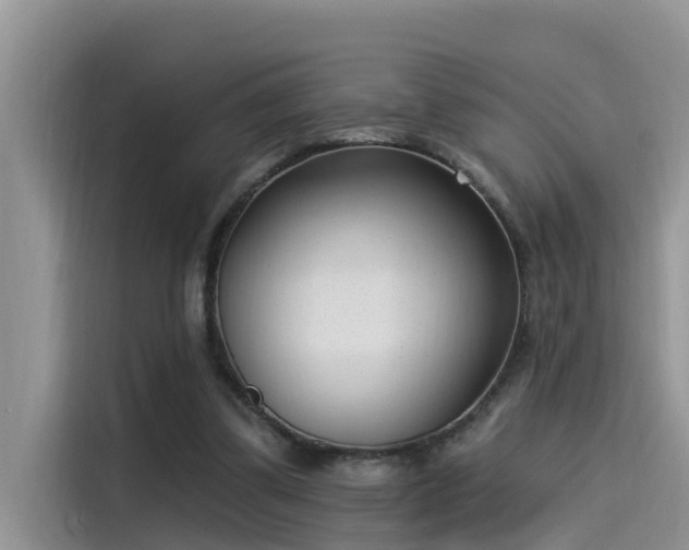 X0000115520299200911131451