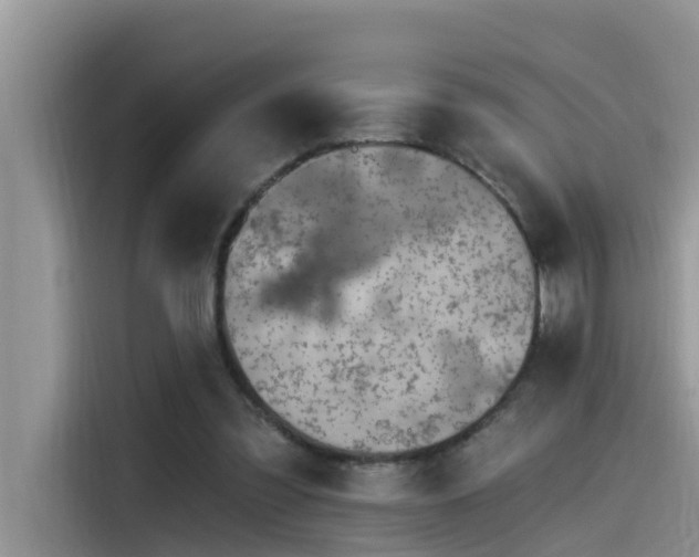 X0000115520301200911131451