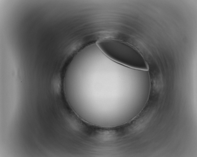 X0000115520304200911131451